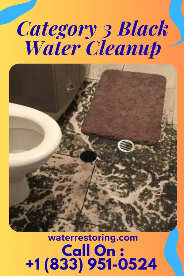 Category 3 Black Water Cleanup in Hartville, OH