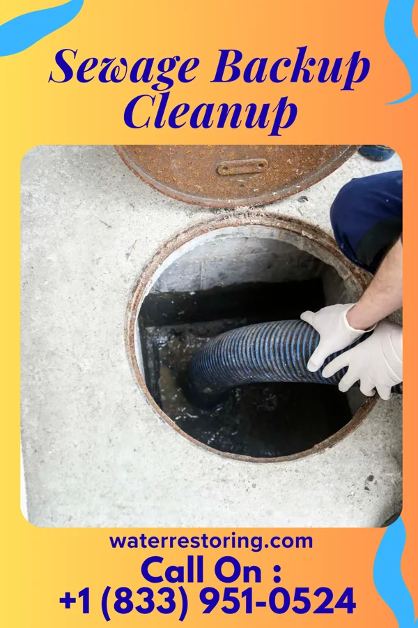 Sewage Backup Cleanup in Hartville, OH